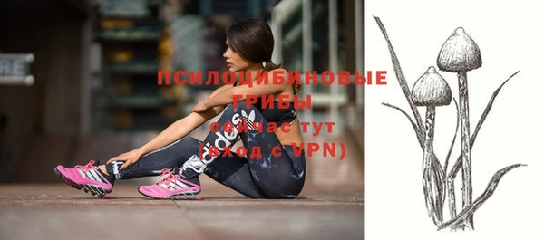 стафф Абаза