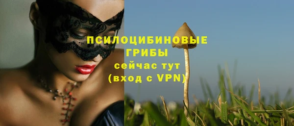 гидропоника Абдулино