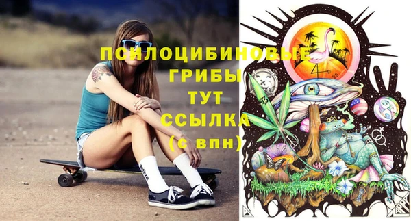стафф Абаза