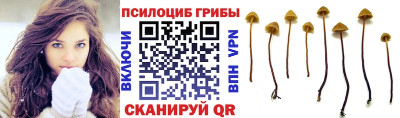 hydra   Иннополис  Галлюциногенные грибы GOLDEN TEACHER 